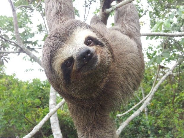 211d6e38097fece7d73901a1c6280968